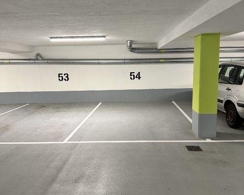 P 54 PKW-Stellplatz
