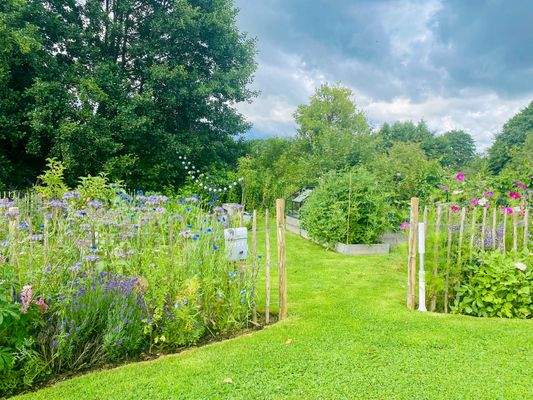 7. Impressionen aus dem Sommer.jpg