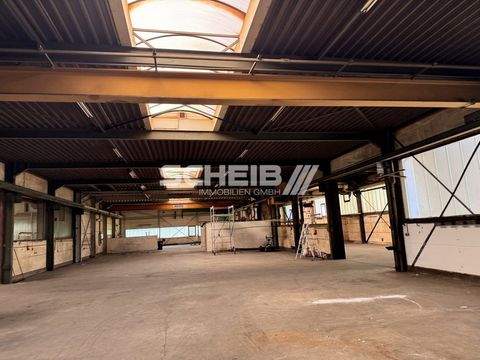 Hardthausen am Kocher Halle, Hardthausen am Kocher Hallenfläche