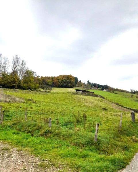 Elzach / Katzenmoos Grundstücke, Elzach / Katzenmoos Grundstück kaufen