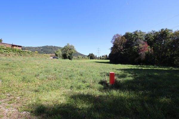 Schöner, großer und flacher 1.850m² Baugrund in Ludmannsdorf - Lukowitz