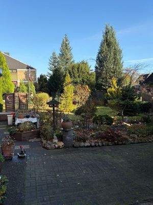 Blick vom Wintergarten in den Garten