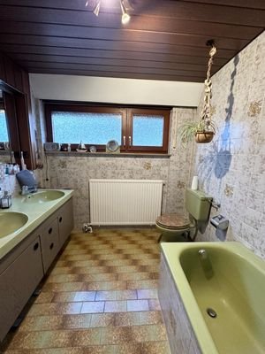 Tageslichtbad Ansicht 1