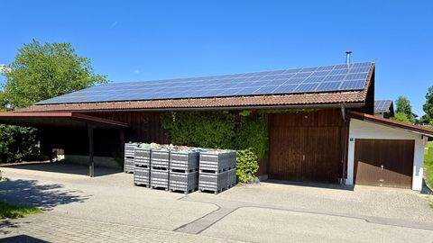 Bad Feilnbach / Dettendorf Halle, Bad Feilnbach / Dettendorf Hallenfläche