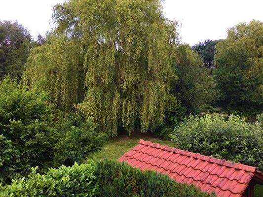 Blick aus dem Fenster