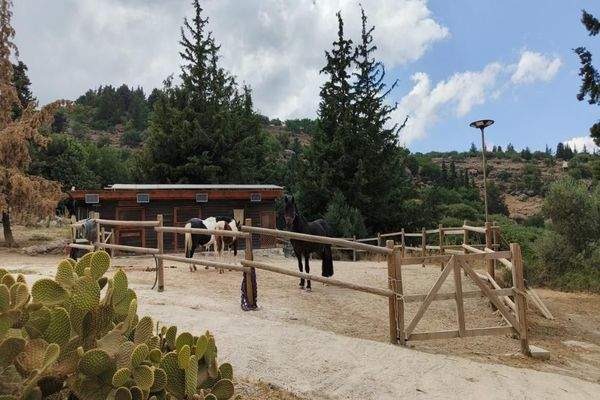 Kreta, Pemonia: Ruhiges und weitläufiges Anwesen zu verkaufen