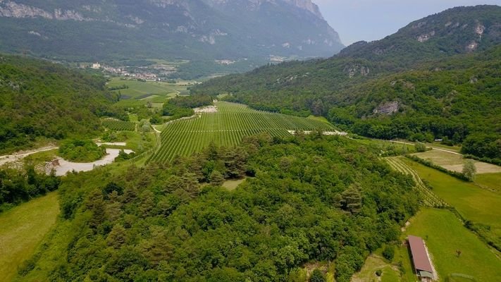 Obstbau-Apfelplantagen-Apfel-Trient-Haus-Kubatur-Bauen-Garage-Geräteschuppen-Frutticoltura-mela-frutteto-mela-Trento-casa-cubatura-edificio-garage-attrezzature-capannone