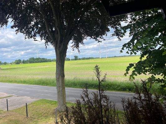 Aussicht_von_Haustür