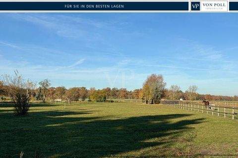 Paulinenaue Häuser, Paulinenaue Haus kaufen