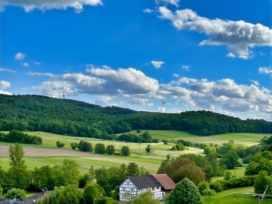 Ausblick vom Balkon