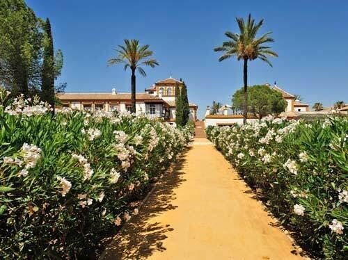 2454 andalusien, sevilla, luxus landgut, finca, cortijo, hacienda zu verkaufen