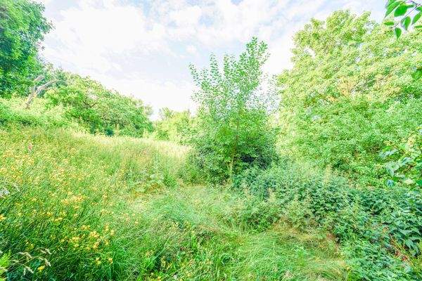 hinterer Teil des Gartens 