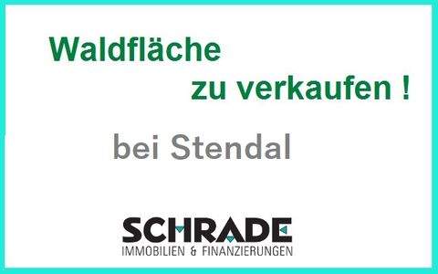 Stendal Bauernhöfe, Landwirtschaft, Stendal Forstwirtschaft