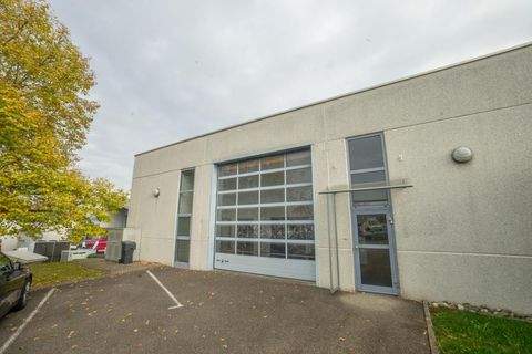 Balingen-Frommern Büros, Büroräume, Büroflächen 