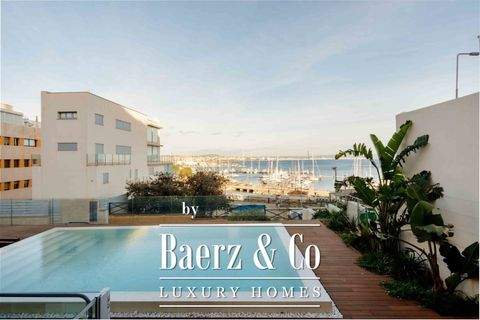 palma de mallorca Wohnungen, palma de mallorca Wohnung kaufen