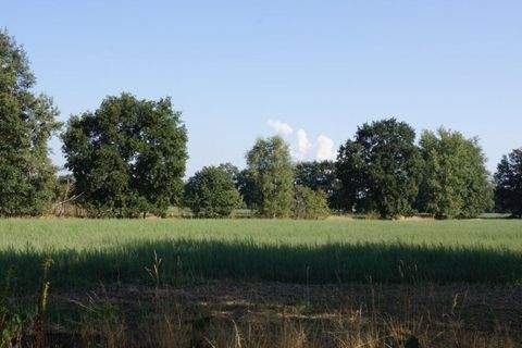 Cottbus Grundstücke, Cottbus Grundstück kaufen