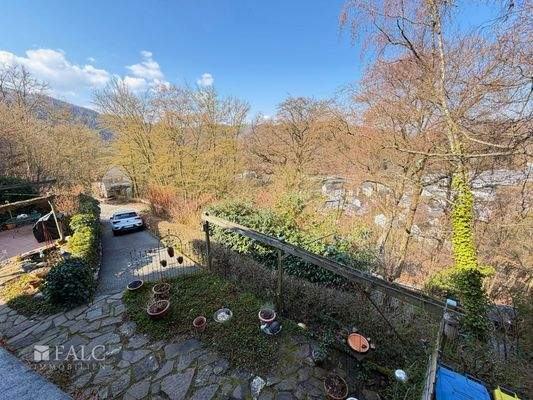 Vorgarten / Einfahrt