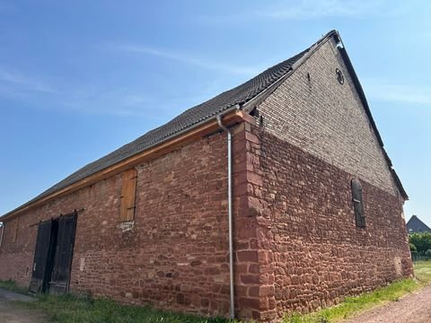 Wettin-Löbejün Halle, Wettin-Löbejün Hallenfläche