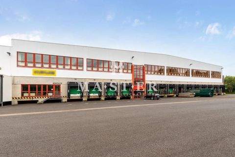 Friedewald Halle, Friedewald Hallenfläche