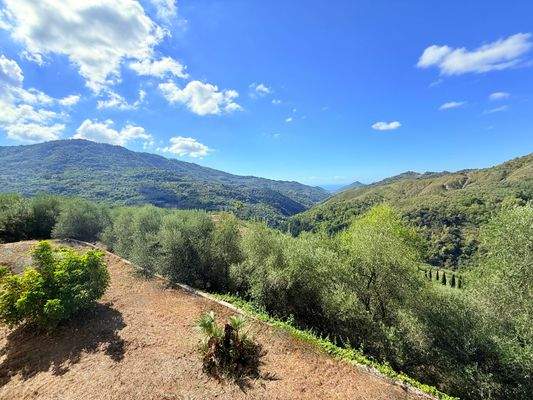 PE_1042_TERRA ITALIA IMMOBILIEN_LIGURIEN_VILLA_PER