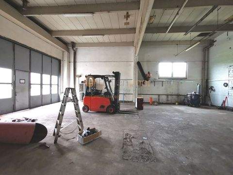 Andernach Halle, Andernach Hallenfläche