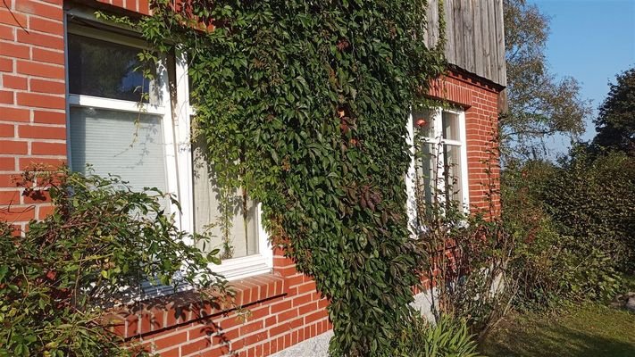 Fensteransicht2