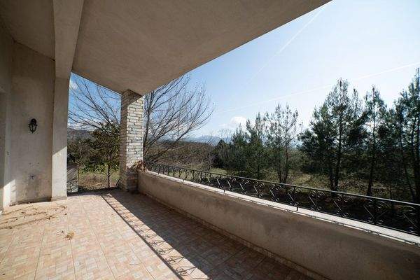 Krinides-Tsiriktsidou 23-02-2024-45.jpg