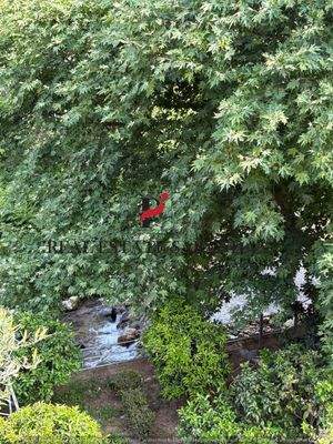 WhatsApp Image 2025-05-11 at 10.27.33-10.jpeg