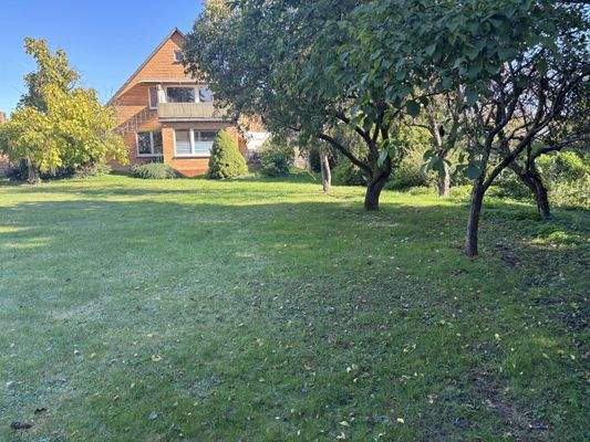 Blick aus dem Garten