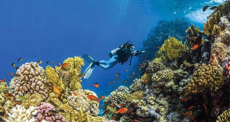 Brochure - Shura and Laheq-128