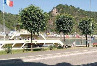 Direkter Rheinblick