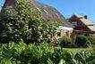 IMG_2847.JPEG