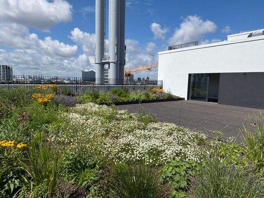 Dachterrasse mit Elbphiblick