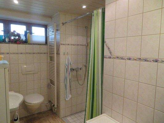 Erdgeschoss: behindertengerechtes Duschbad mit Fen