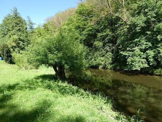 Sonniges Grundstück: Wiese mit Wasser am Wald