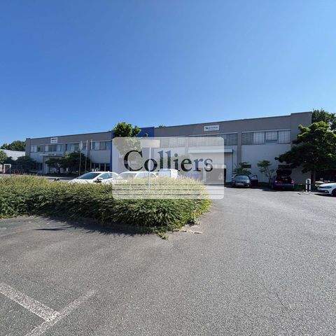 Nürnberg Büros, Büroräume, Büroflächen 