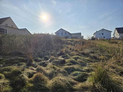 Langenlonsheim Grundstücke, Langenlonsheim Grundstück kaufen