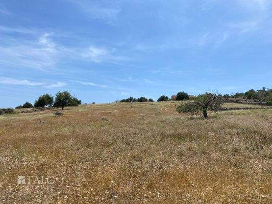 ... über die Landschaft