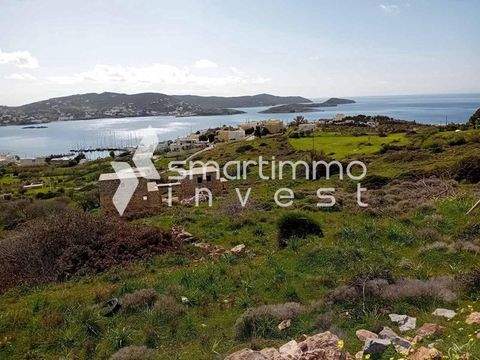Finikas, Syros Bauernhöfe, Landwirtschaft, Finikas, Syros Forstwirtschaft
