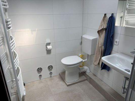 Duschbad mit Handtuchheizung
