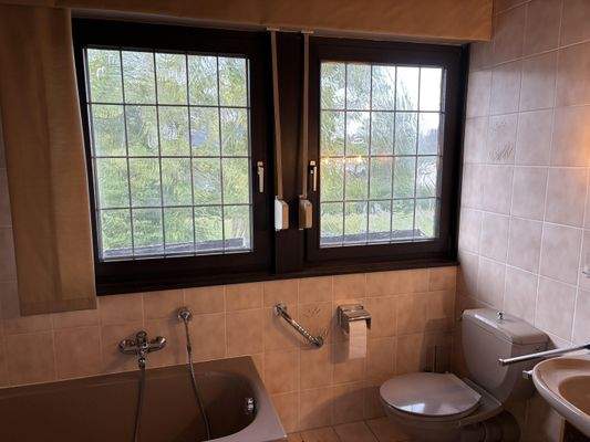 Teilansicht Badezimmer / dg