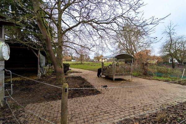 Außenansicht - Koppel