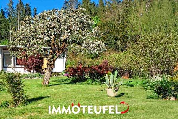 So sieht es im Sommer aus