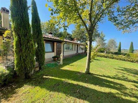 Cecina Häuser, Cecina Haus kaufen