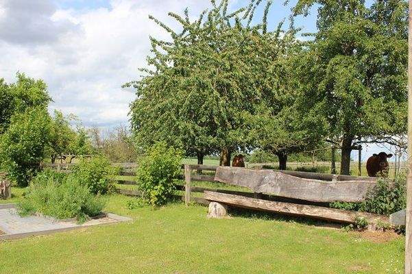 Obstanbauflächen / Weideflächen