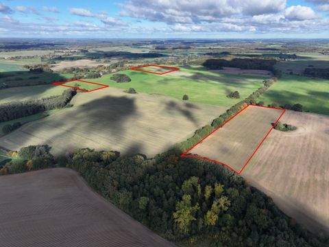 Zarretnin am Schaalsee Bauernhöfe, Landwirtschaft, Zarretnin am Schaalsee Forstwirtschaft