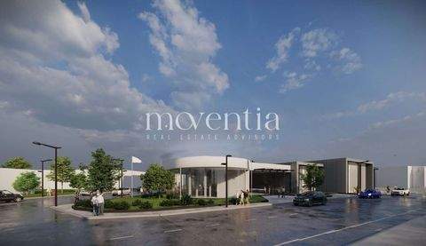 Reutlingen Halle, Reutlingen Hallenfläche