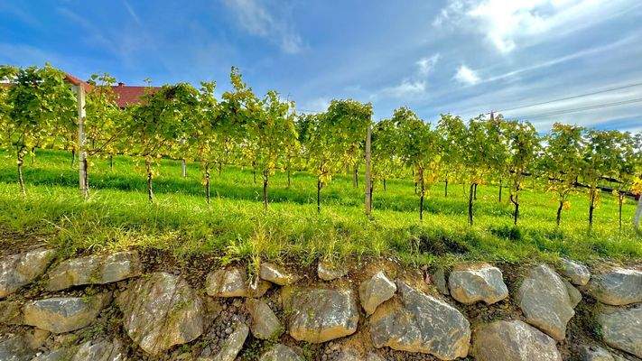 Wohnung in 8493 Klöch