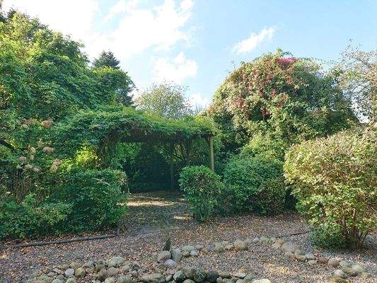 Terrasse mit bewachsener Pergola