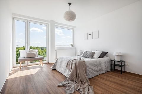 Neumünster Wohnungen, Neumünster Wohnung mieten